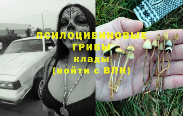 ГАЛЛЮЦИНОГЕННЫЕ ГРИБЫ Абаза