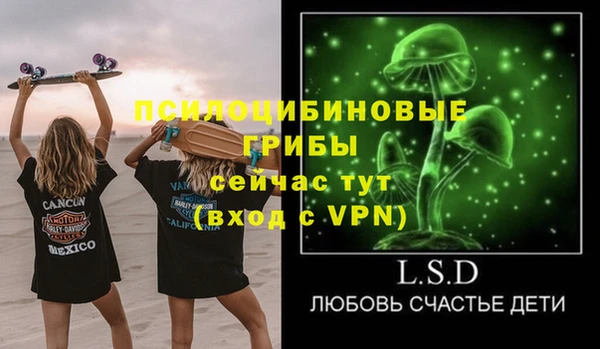 ГАЛЛЮЦИНОГЕННЫЕ ГРИБЫ Абаза